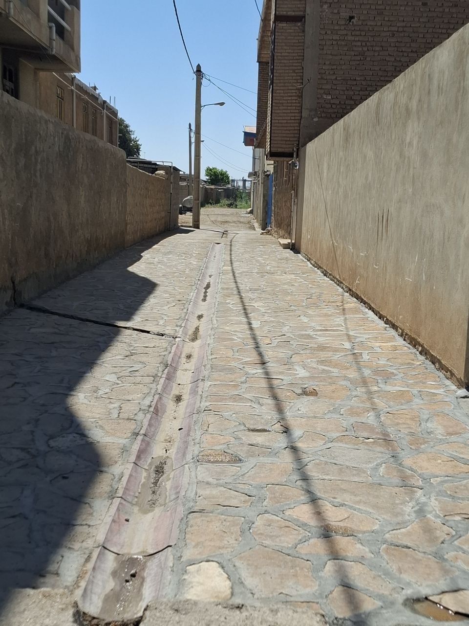 تصویر